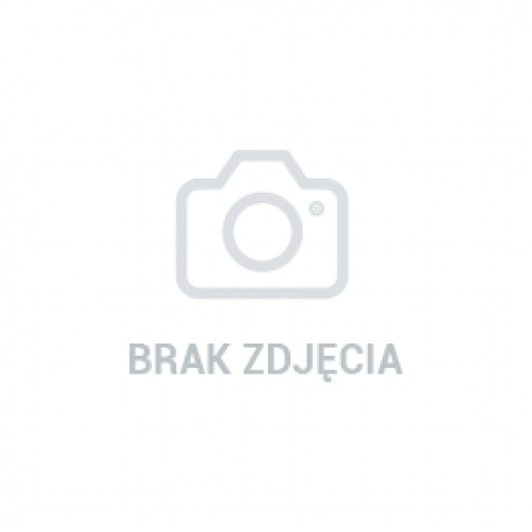 ZAROWKA H3 - 24V 70W TRUCKLIGHT +100